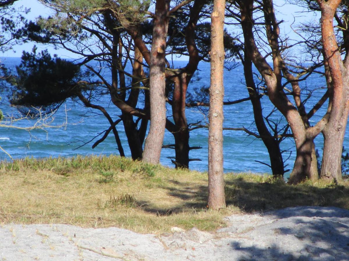 Strandapartment Kapitaen Prora Binz Esterno foto